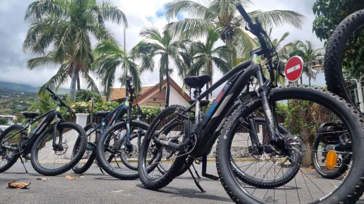Vélos électriques pour adultes La Réunion