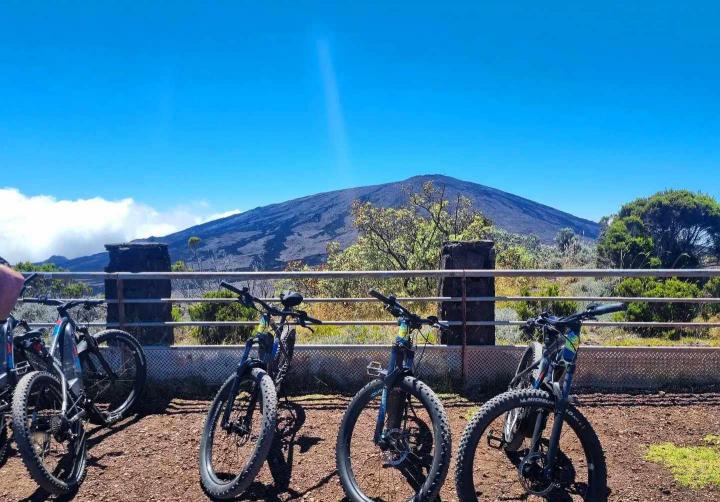 Nous mettons nos vélos à la disposition de votre groupe.