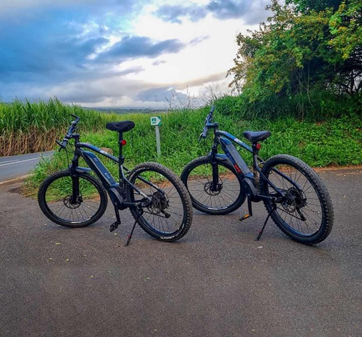 Vélos électriques pour adultes La Réunion