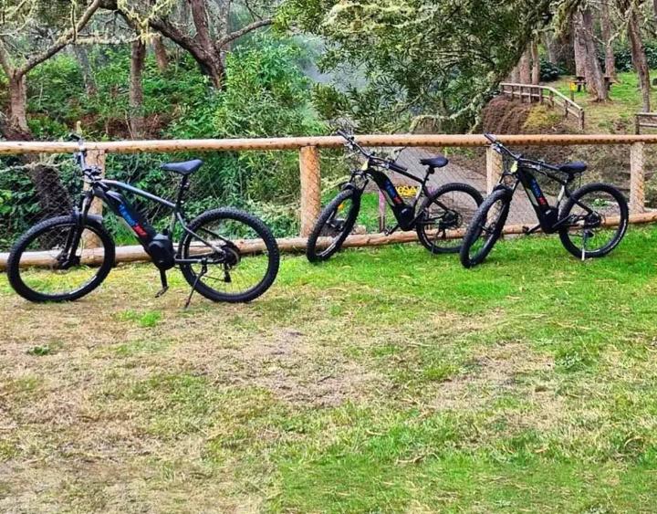 Location de vélos électriques pour adultes La Réunion