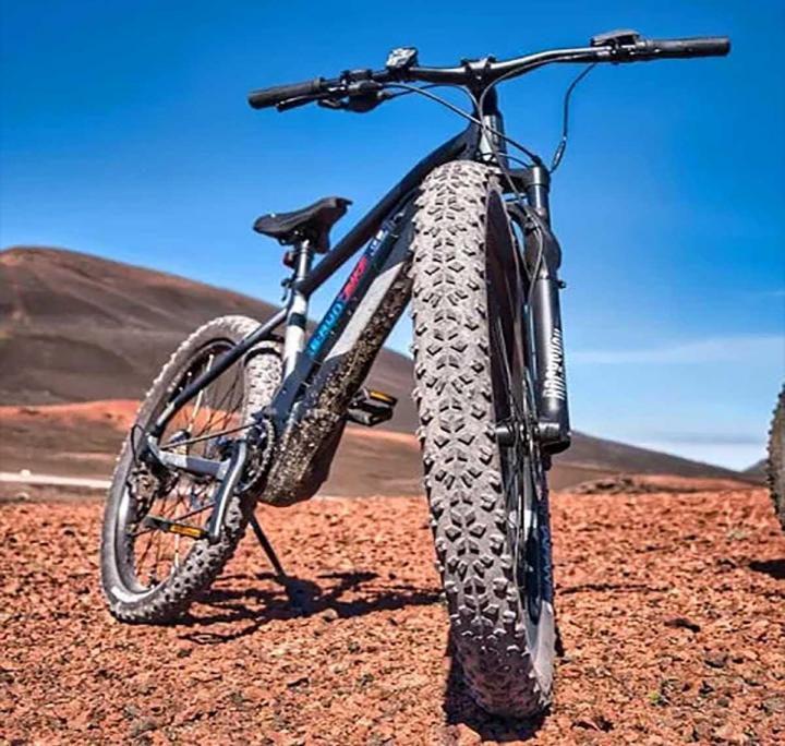 Vélos électriques pour adultes La Réunion